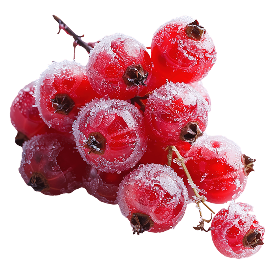 Alpha Arbutin