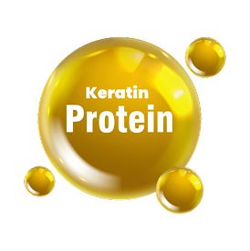 Keratin Protein