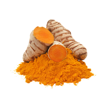 Turmeric Extract