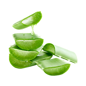 Aloe Vera Extract