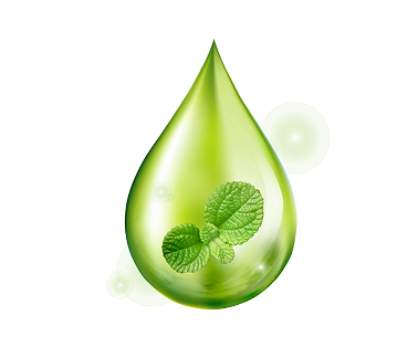 Tea Tree Oil