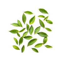 Neem